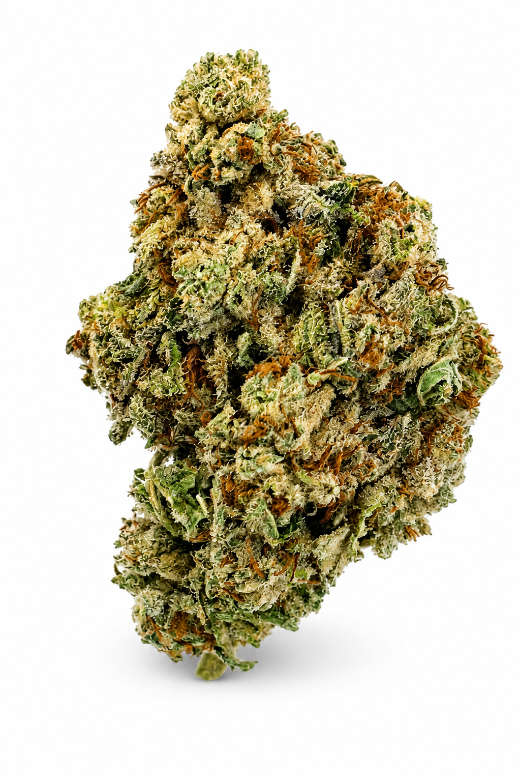 White Cookie Flower - 28g