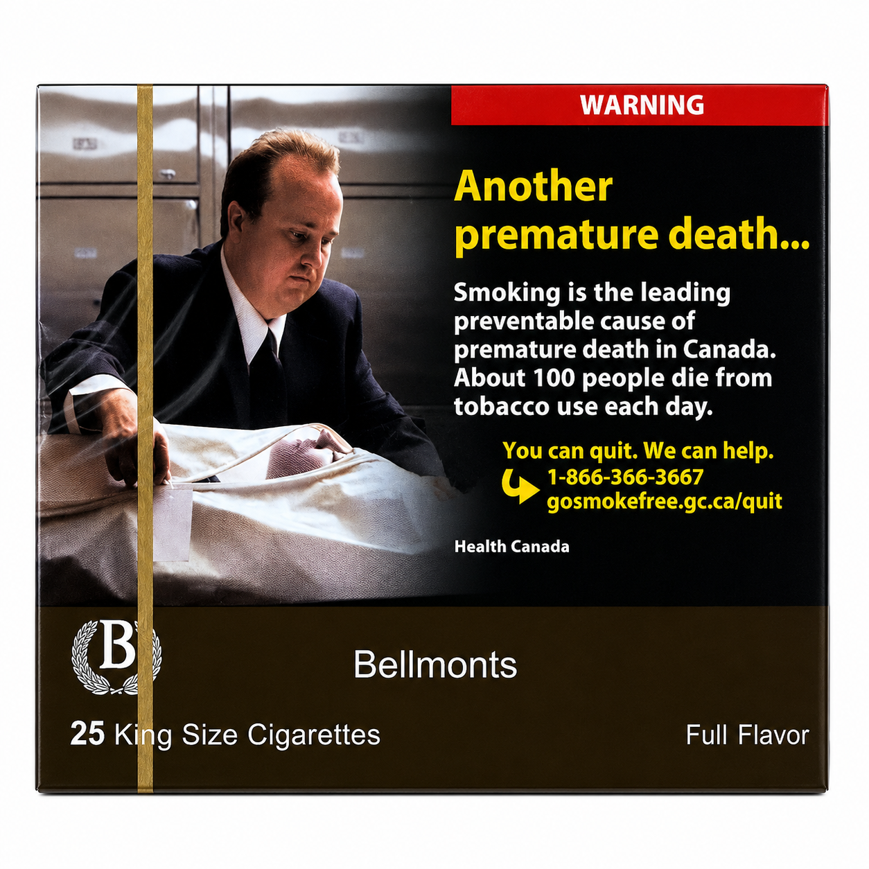 Bellmonts Full Flavor 25's - Single Pack