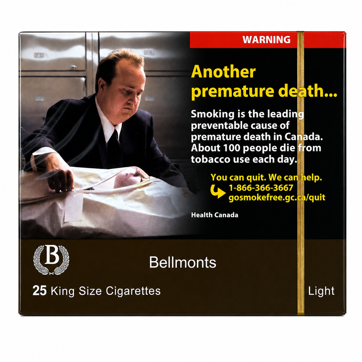 Bellmonts Light 25's - Single Pack