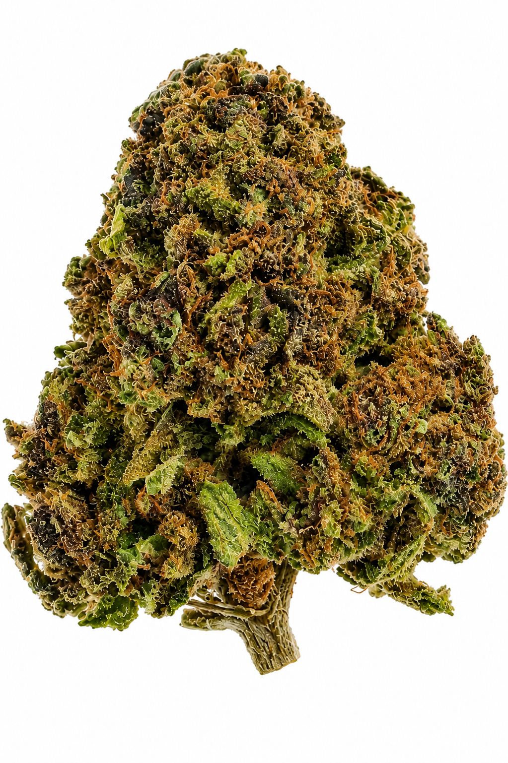 Future Wife Flower - 28g