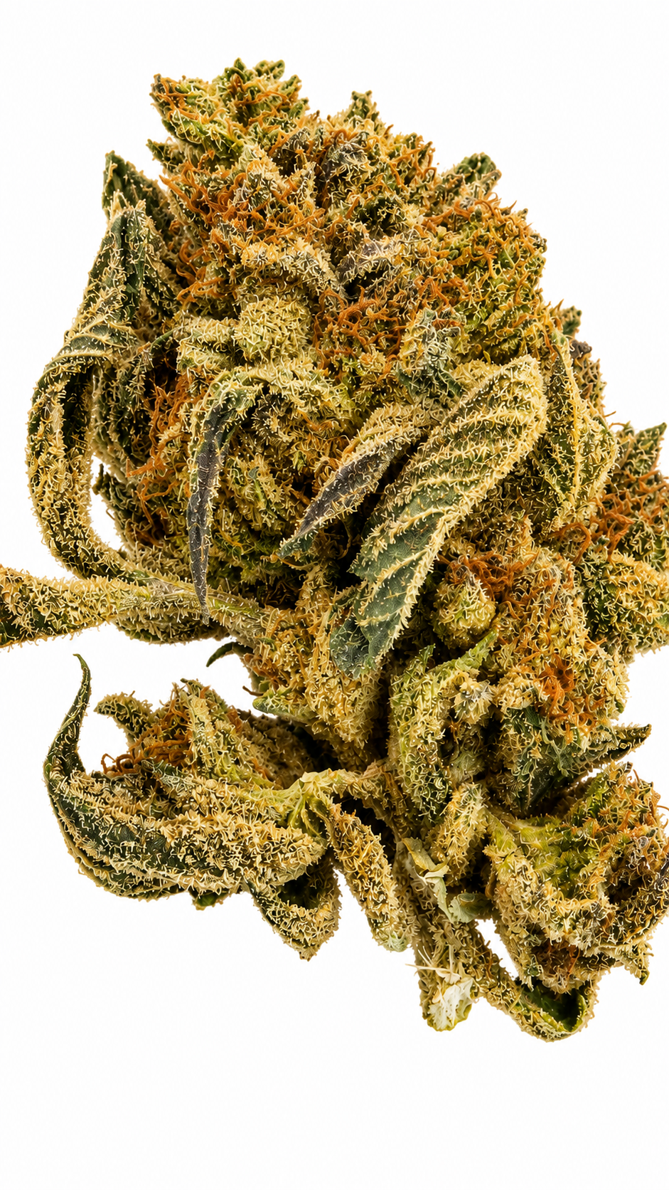 Tangie Flower - 28g