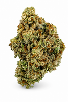 White Cookie Flower - 28g