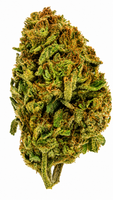 Cactus Cooler Flower - 28g