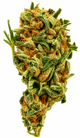 Captain Jay Flower - 28g