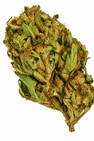 Chocolope Flower - 28g