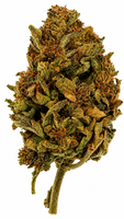 Critical Mass Flower - 28g