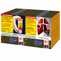 Expos Light 25’s Cigarettes - Carton