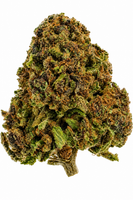 Future Wife Flower - 28g