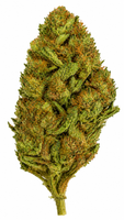 Green Goblin Flower - 28g