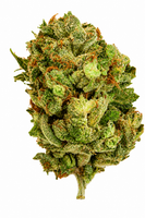 Green Magazine Flower - 28g