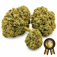 Ice Cream Cookiez Flower (Exotic) - 3.5g