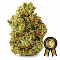 Justin Trudeau Kush Flower (Exotic) - 7g