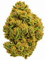 Lemon Fizz Flower - 28g