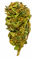 Monkey Breath Flower - 28g
