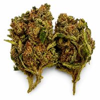 Pineapple Haze Flower - 28g