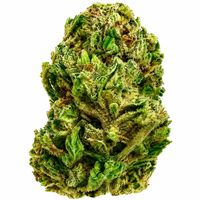 Purple Cough Flower - 28g