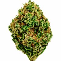 William Wonder Flower - 28g