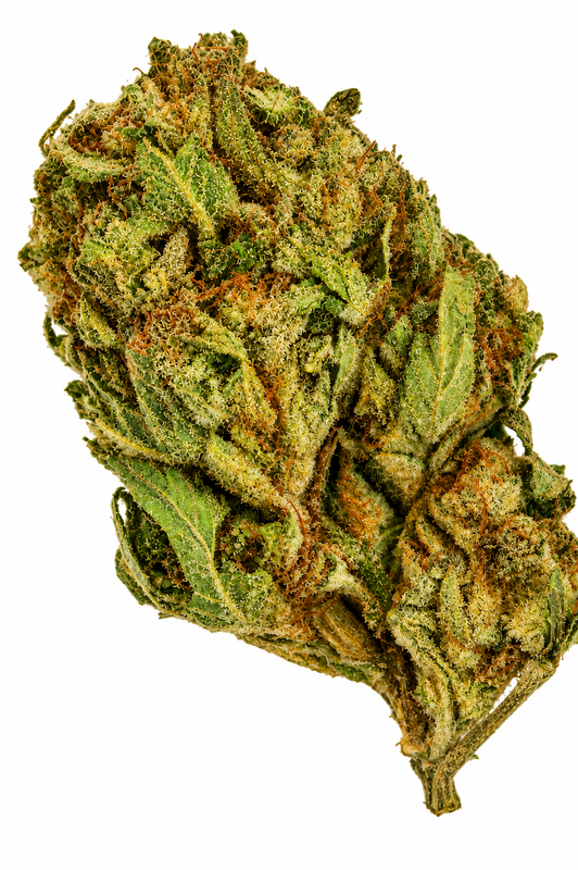 Chocolope Flower - 28g