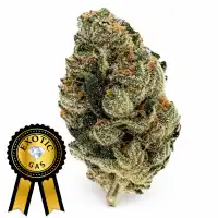 Alien Space Flower (Exotics) 14g🔥