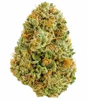 Blackberry Kush Flower - 28g