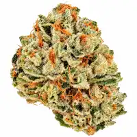 Sunset Octane Flower - 28g