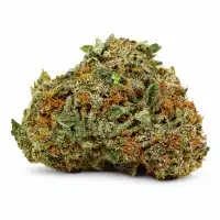 God's Green Crack Flower - 7g