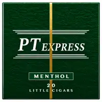 PT Express Menthol Little Cigars - 20pk
