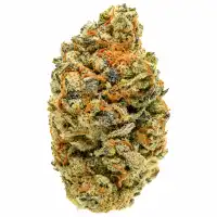 Joker Flower - 28g