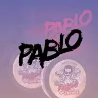 Pablo Nicotine Pouches - Variety of Flavors 