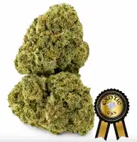 Lemon Cherry Gelato (Exotic) Flower -14g