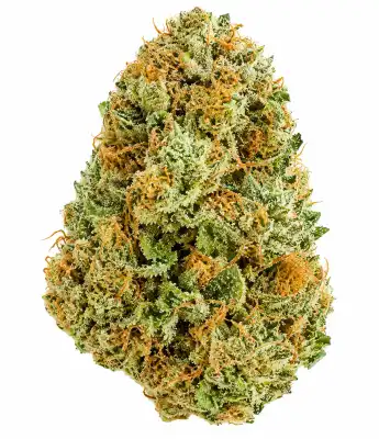 Blackberry Kush Flower - 28g