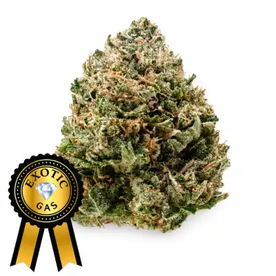 Pink Meds Flower (Exotics) 28g🔥
