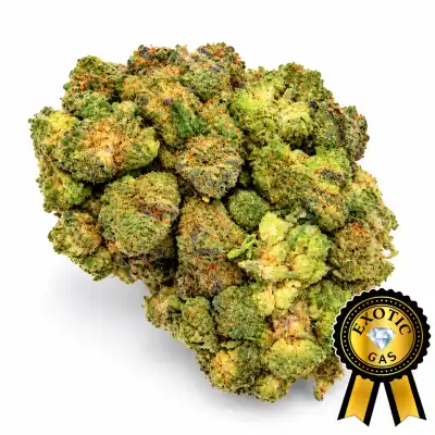 Georgia Pie Flower (Exotics) Weight Options