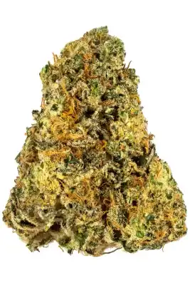 MAC (Miracle Alien Cookies) Flower - 7g