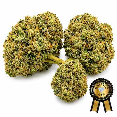 Ice Cream Cookiez Flower (Exotics) 3.5g🔥