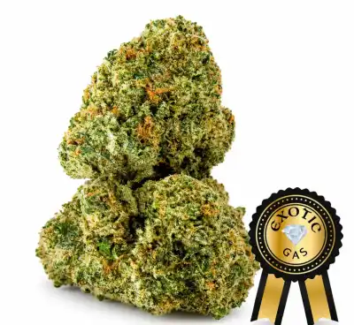 Lemon Cherry Gelato (Exotic) Flower - 1/4 LB (BULK ORDER)