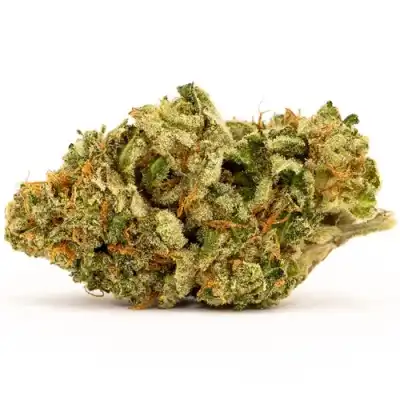 White Widow Flower - 28g