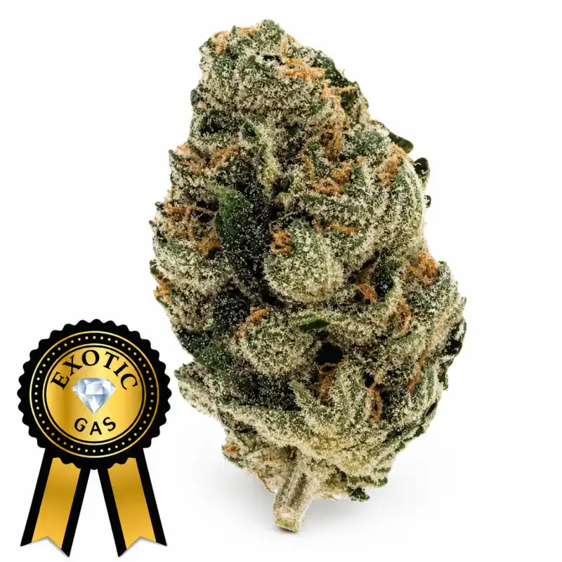 Alien Space Flower (Exotics) 14g🔥