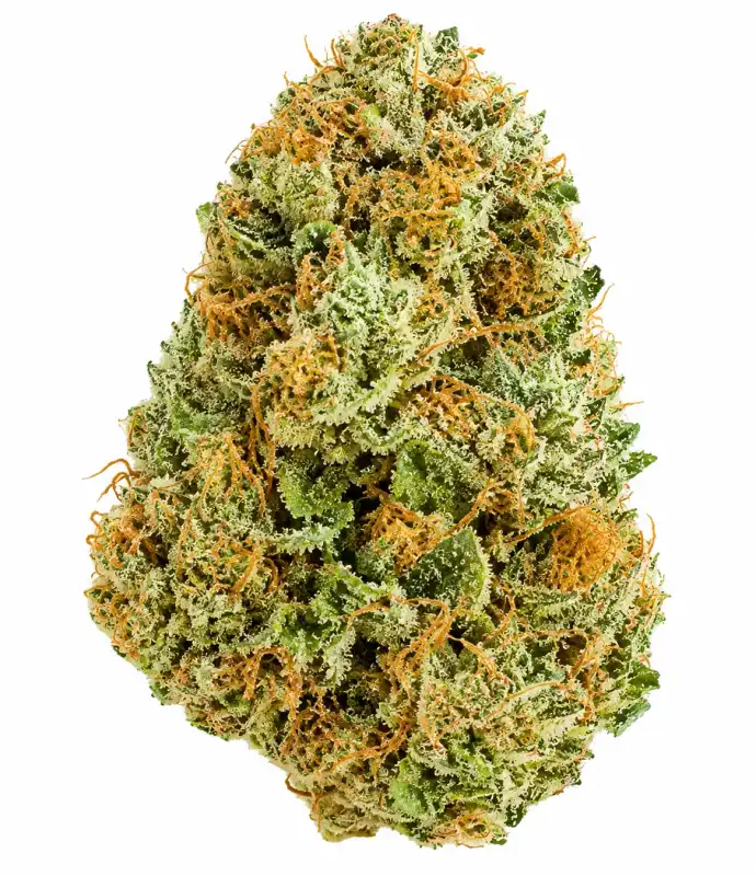 Blackberry Kush Flower - 28g