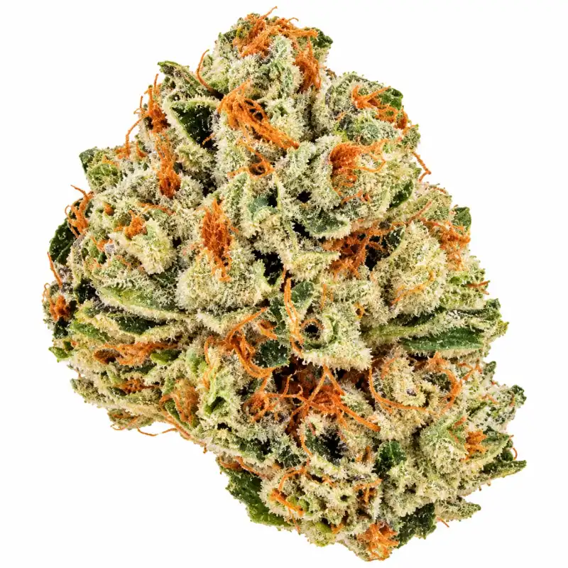 Sunset Octane Flower - 28g