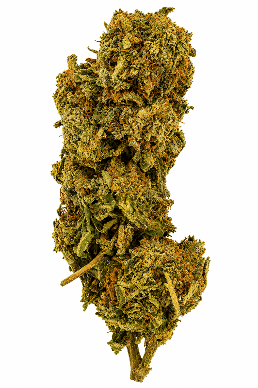 Blueberry Muffin Flower - 28g