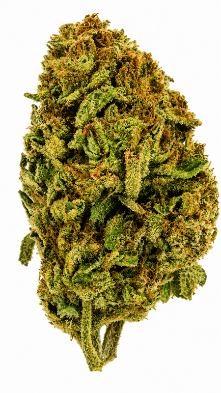 Cactus Cooler Flower - 28g