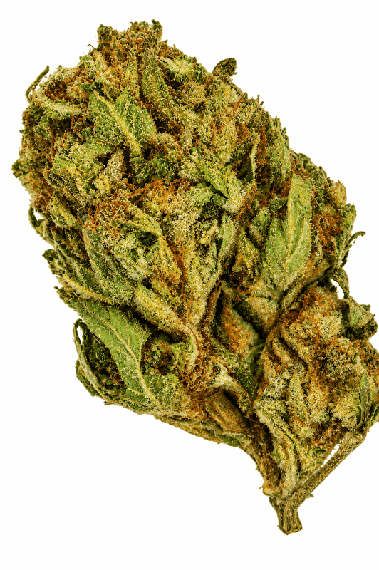 Chocolope Flower - 28g