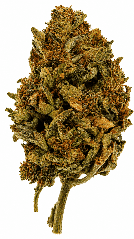 Critical Mass Flower - 28g