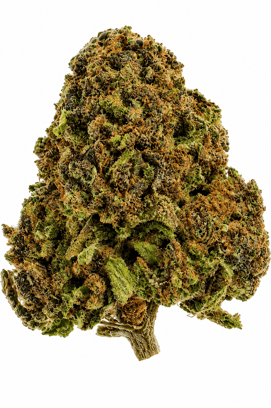 Future Wife Flower - 28g