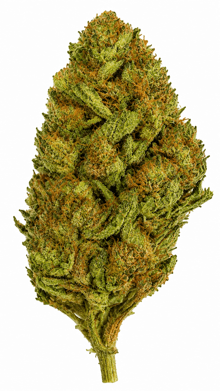 Green Goblin Flower - 28g