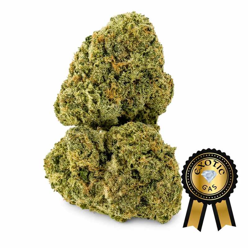 Lemon Cherry Gelato Flower (Exotic) - 7g