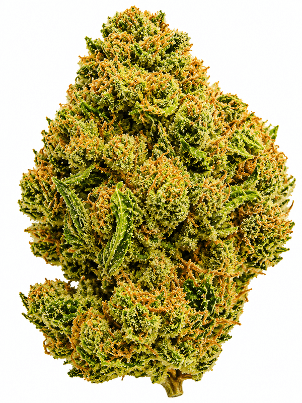 Lemon Fizz Flower - 28g