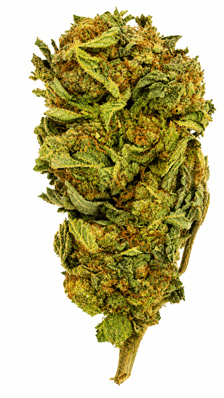 Monkey Breath Flower - 28g