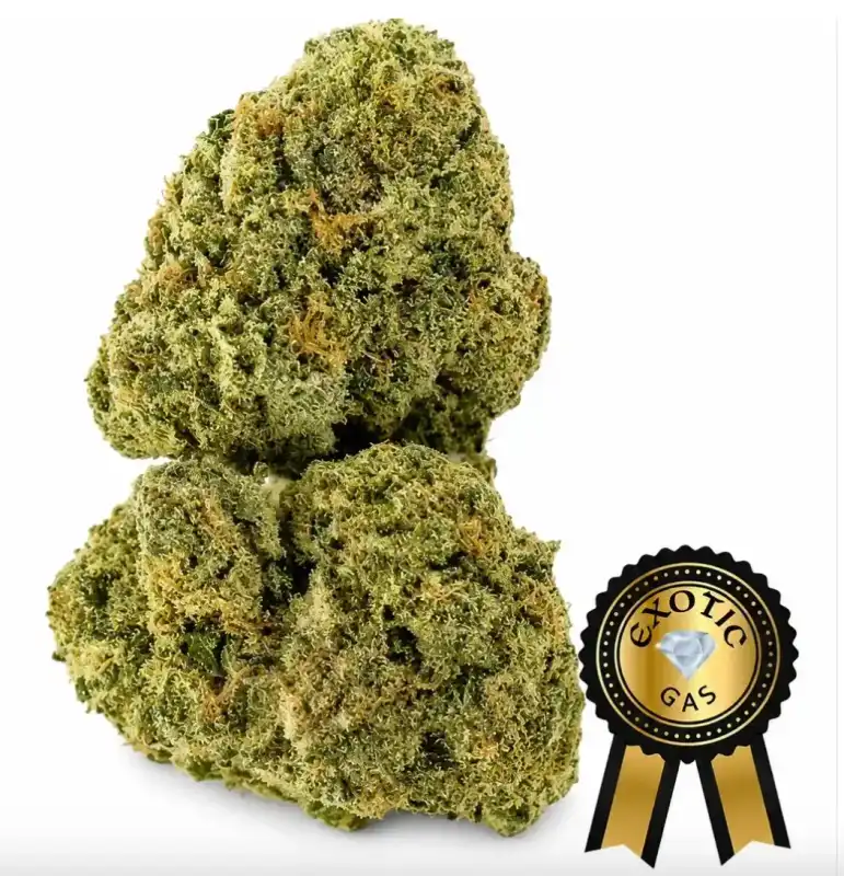 Lemon Cherry Gelato (Exotic) Flower -14g